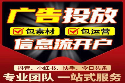 行业领先的SEM竞价广告投放案例